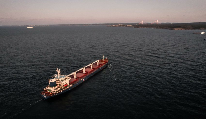 Kremlin Sözcüsü: Tahıl anlaşması fiilen son buldu, durduruldu